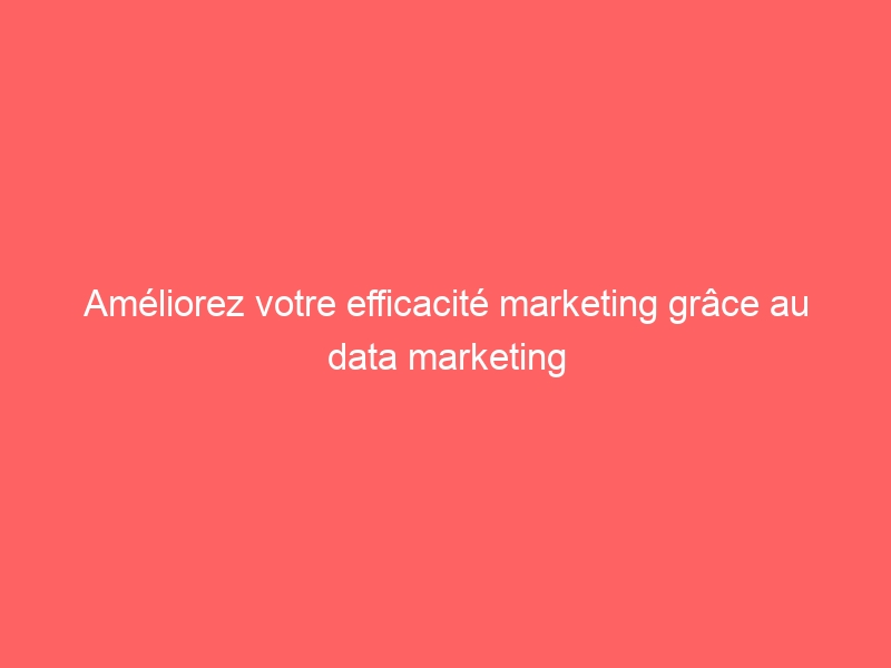 Am Liorez Votre Efficacit Marketing Gr Ce Au Data Marketing